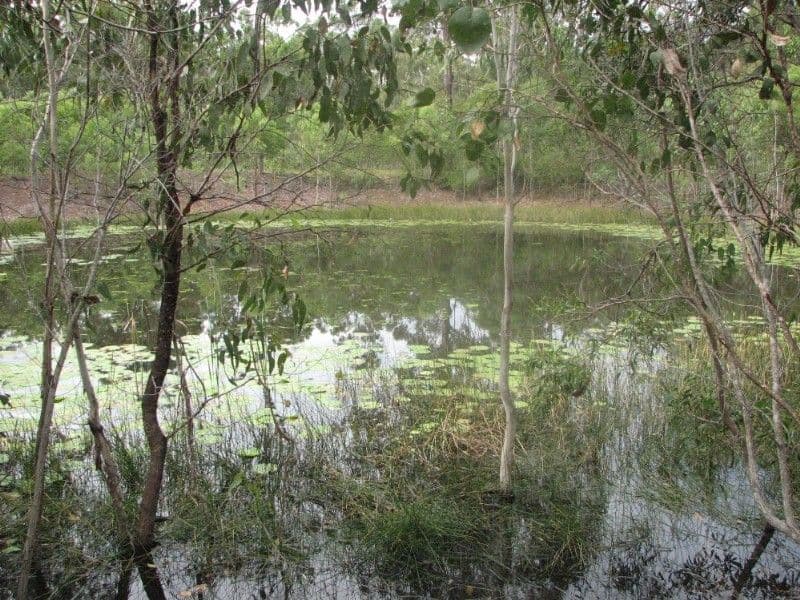 BUNDABERG QLD 4670, Bundaberg Central - Thumbnail 5