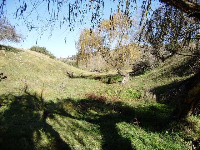 6 Jurgies Track, GEORGES CREEK VIC 3700, Georges Creek - Thumbnail 6