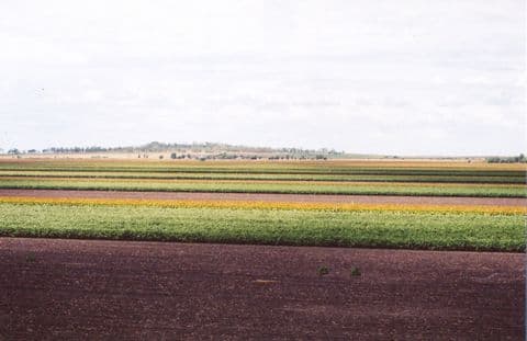 BONGEEN QLD 4356, Bongeen - Thumbnail 2