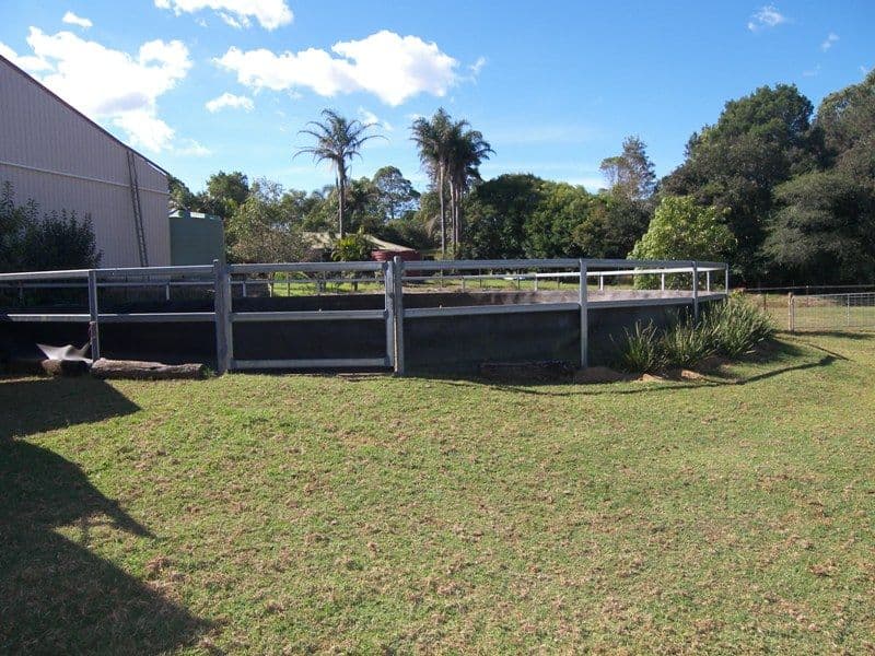 MALENY QLD 4552, Maleny - Thumbnail 8