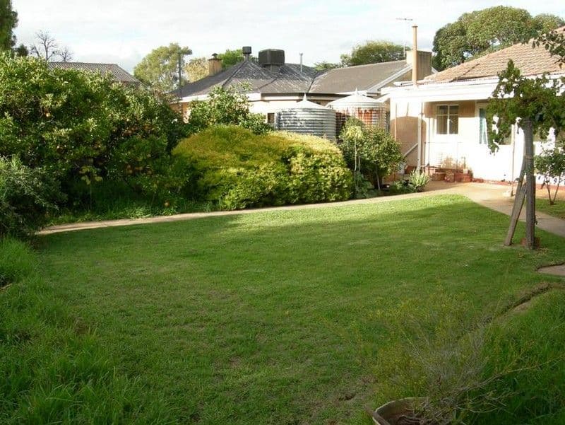 140 Seventh Avenue, ROYSTON PARK SA 5070, Royston Park - Thumbnail 7