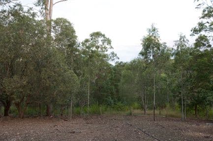 100 Boyle Road, GYMPIE QLD 4570, Gympie - Thumbnail 3