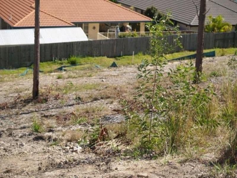 40 Turnbury Street, LITTLE MOUNTAIN QLD 4551, Little Mountain - Thumbnail 5
