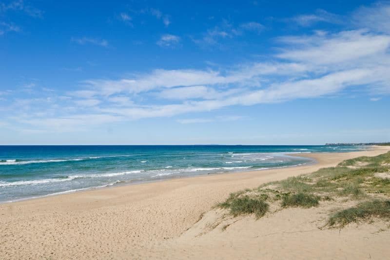 209 Oceanic Drive, WARANA QLD 4575, Warana - Thumbnail 2