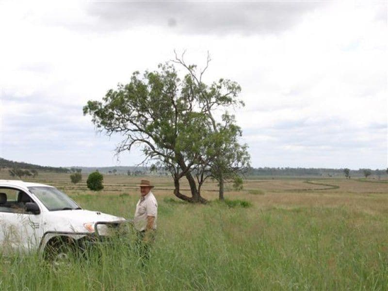 DALBY QLD 4405, Dalby - Thumbnail 3