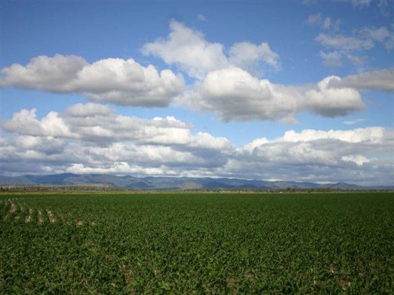 DALBY QLD 4405, Dalby - Image 1