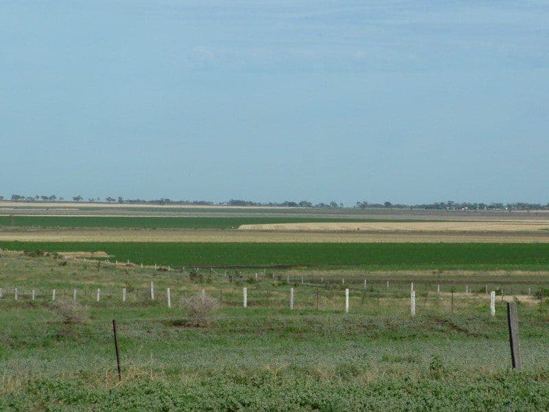 JONDARYAN QLD 4403, Jondaryan - Thumbnail 3