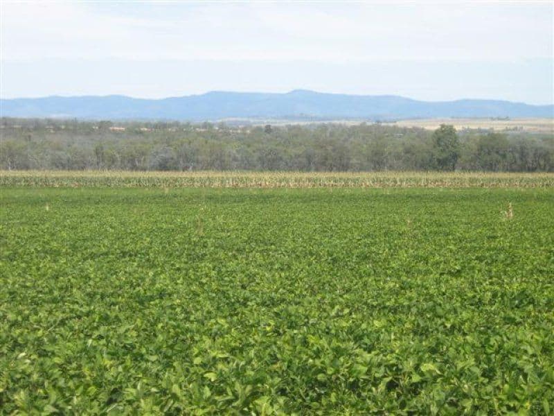 KUMBIA QLD 4610, Kumbia - Thumbnail 5