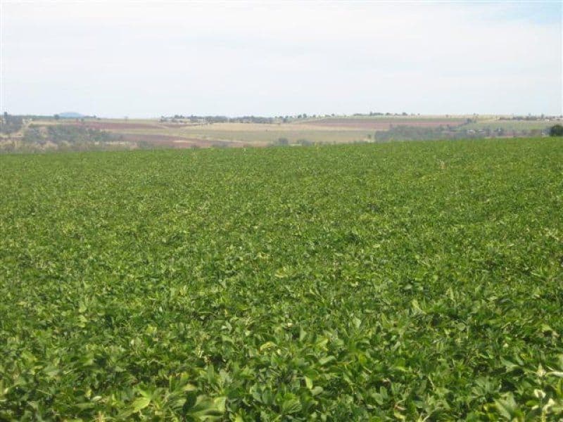 KUMBIA QLD 4610, Kumbia - Thumbnail 6