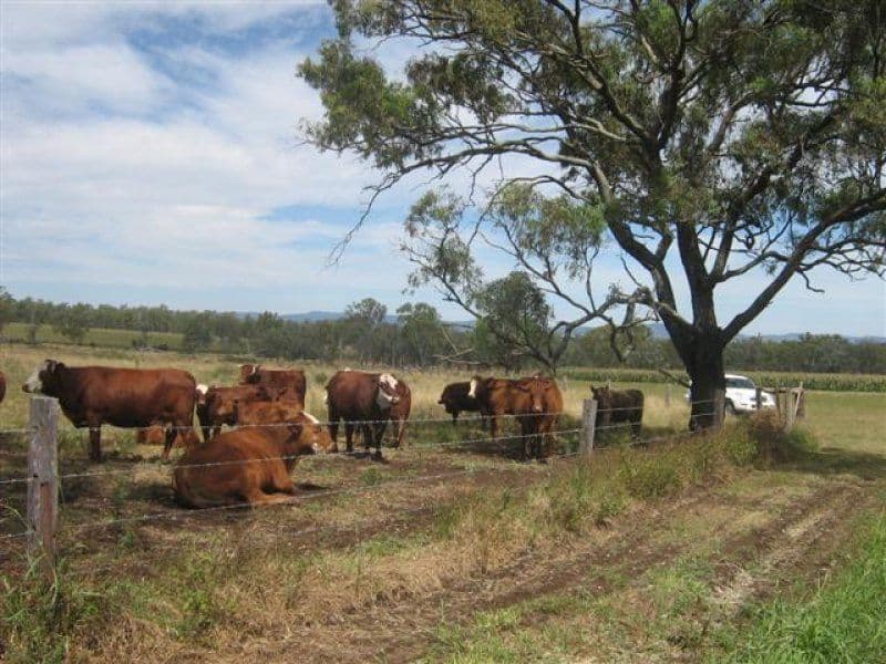 KUMBIA QLD 4610, Kumbia - Thumbnail 8