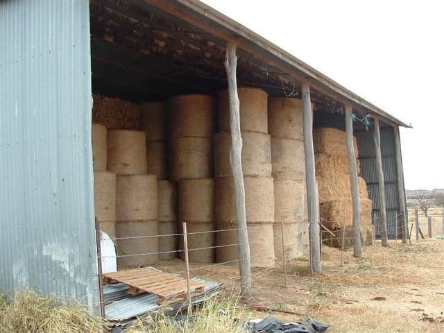 DALBY QLD 4405, Dalby - Thumbnail 8