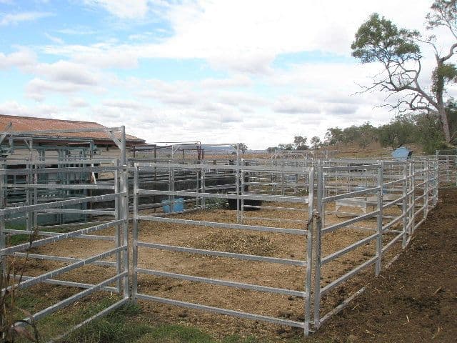 0 Motley Road, PITTSWORTH QLD 4356, Pittsworth - Thumbnail 8