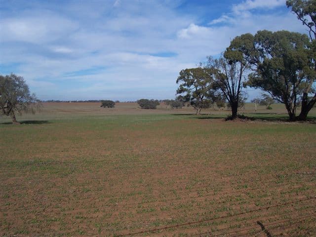 Lot Sparrow Road, SWANWATER WEST VIC 3480, Swanwater West - Thumbnail 2