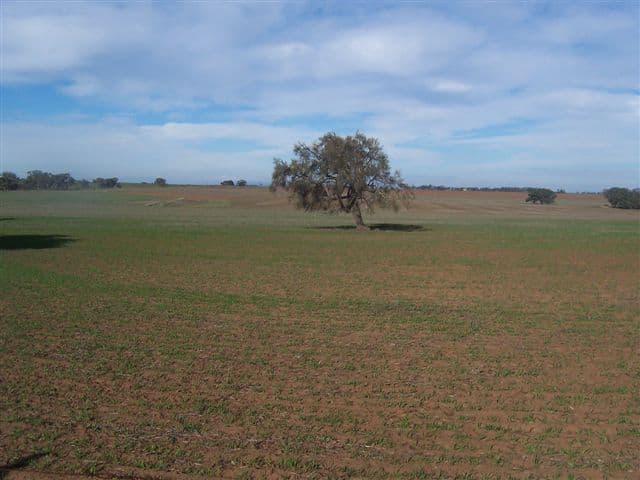 Lot Sparrow Road, SWANWATER WEST VIC 3480, Swanwater West - Thumbnail 3
