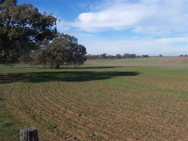 Lot Sparrow Road, SWANWATER WEST VIC 3480, Swanwater West - Thumbnail 4
