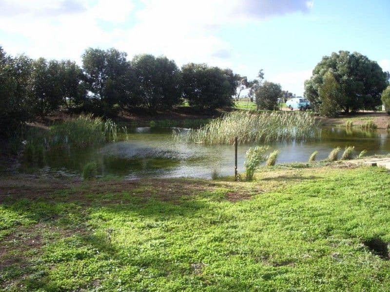 50 Garden Street, WOLSELEY SA 5269, Wolseley - Thumbnail 2