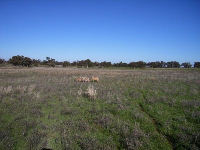 7R  Janina Road, DUBBO NSW 2830, Dubbo - Image 1