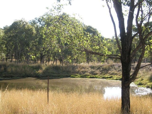 0 O'Learys Road, PITTSWORTH QLD 4356, Pittsworth - Thumbnail 5