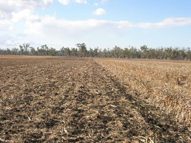 0 O'Learys Road, PITTSWORTH QLD 4356, Pittsworth - Thumbnail 6