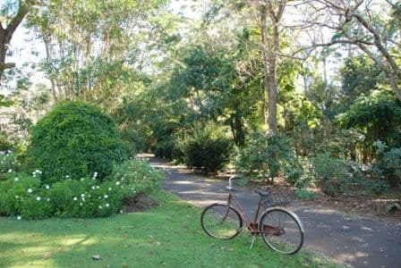 66 Licuala Drive  Has never changed hands!, NORTH TAMBORINE QLD 4272, North Tamborine - Thumbnail 5