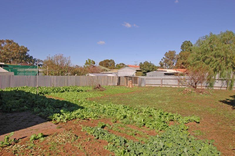 17 Ross Street, PARALOWIE SA 5108, Paralowie - Thumbnail 2