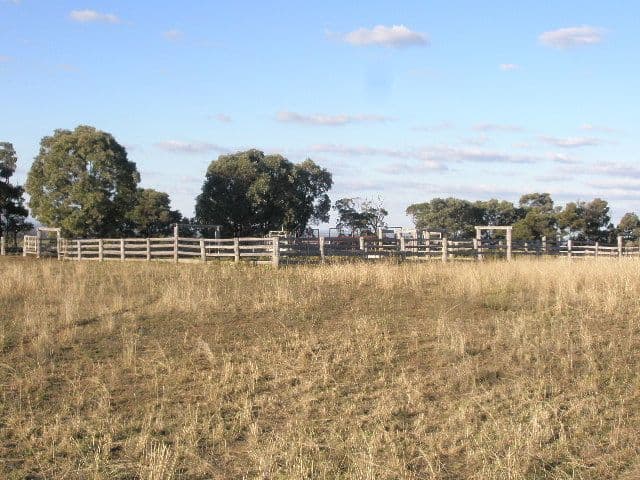 424 Lavelle Road, MILLMERRAN QLD 4357, Millmerran - Thumbnail 4