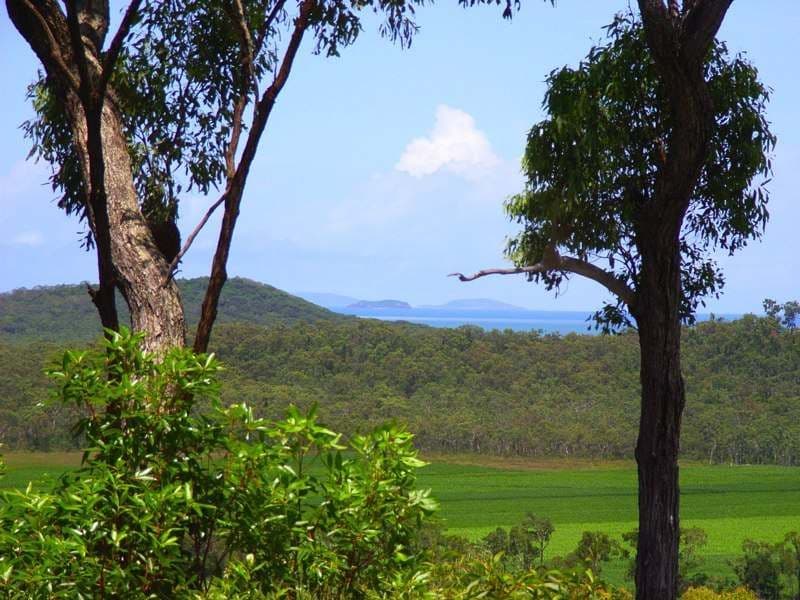 Lot 11 Howlands Road, ILBILBIE QLD 4738, Ilbilbie - Thumbnail 2