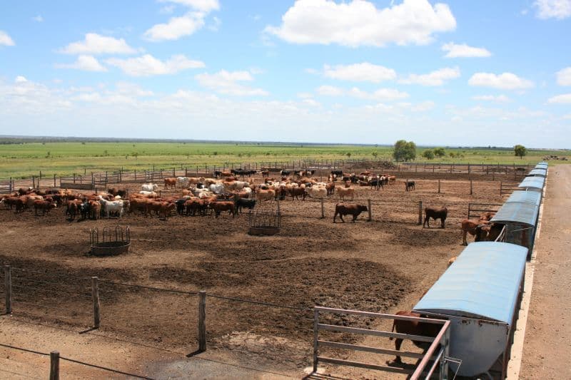 SPRINGSURE QLD 4722, Springsure - Thumbnail 8