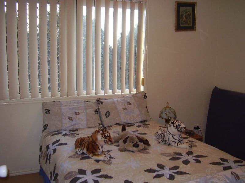 19 Chesterfield Street, KURABY QLD 4112, Kuraby - Thumbnail 7