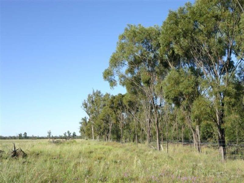 DALBY QLD 4405, Dalby - Thumbnail 2