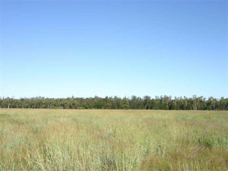 DALBY QLD 4405, Dalby - Image 1