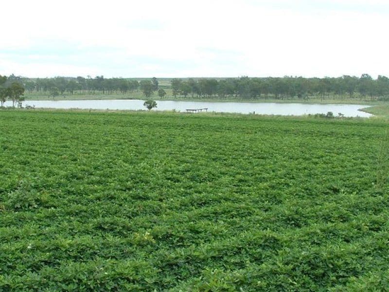KUMBIA QLD 4610, Kumbia - Image 1