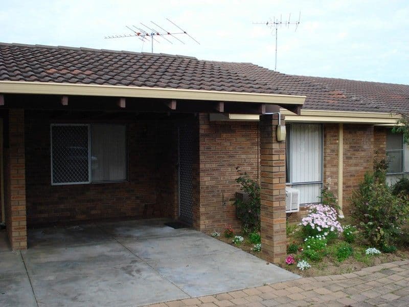  8 Kathleen Street, YOKINE WA 6060, Yokine - Thumbnail 6