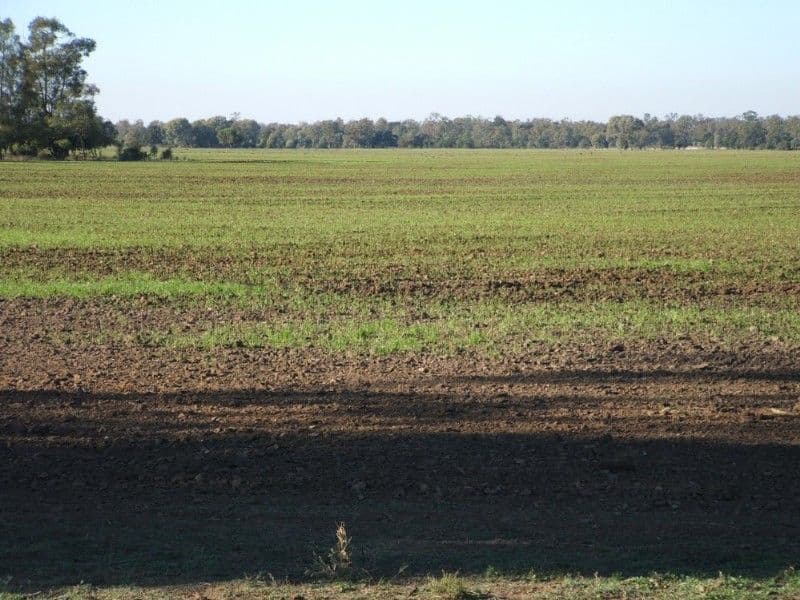 GOONDIWINDI QLD 4390, Goondiwindi - Image 1