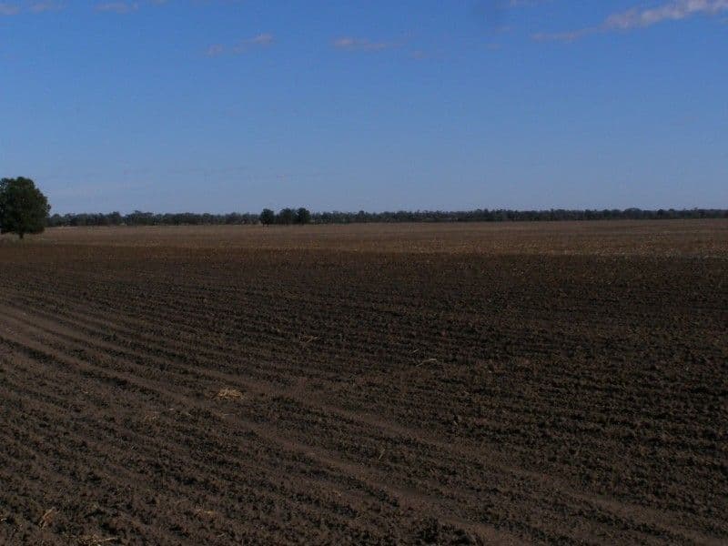 GOONDIWINDI QLD 4390, Goondiwindi - Thumbnail 2