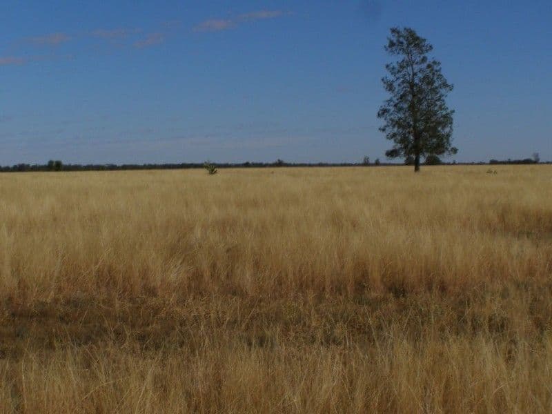 GOONDIWINDI QLD 4390, Goondiwindi - Thumbnail 5