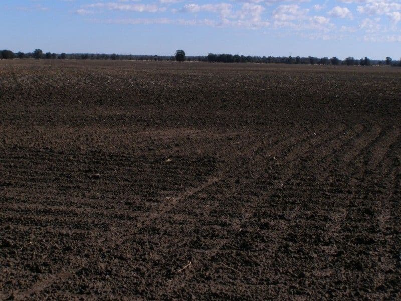 GOONDIWINDI QLD 4390, Goondiwindi - Thumbnail 6