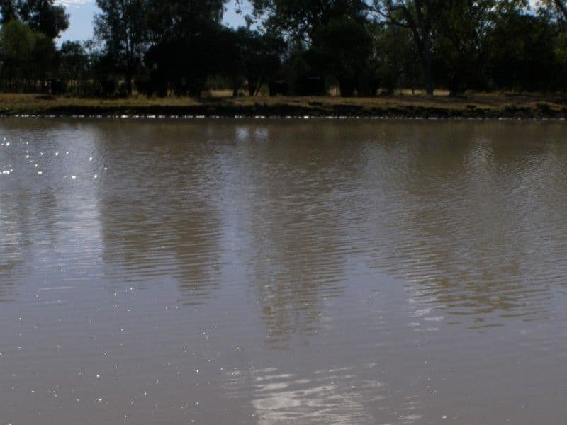 GOONDIWINDI QLD 4390, Goondiwindi - Thumbnail 7
