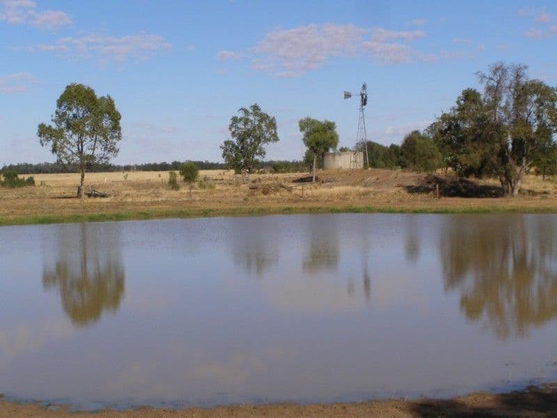 GOONDIWINDI QLD 4390, Goondiwindi - Thumbnail 8