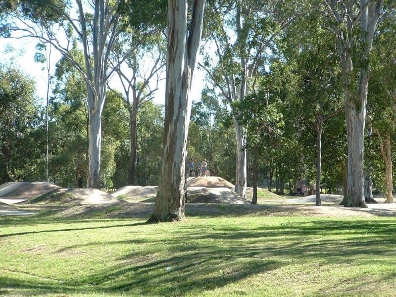 36 David Street, THORNESIDE QLD 4158, Thorneside - Thumbnail 4