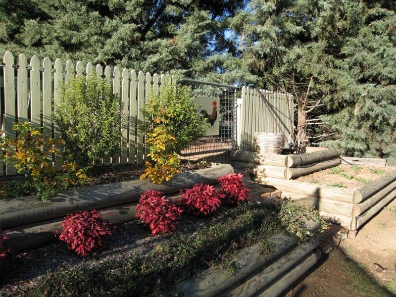 56 Turallo Terrace, BUNGENDORE NSW 2621, Bungendore - Thumbnail 5