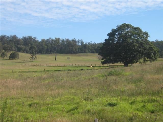 YARRAMAN QLD 4614, Yarraman - Thumbnail 3