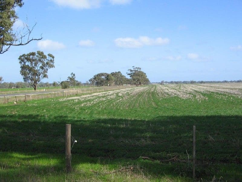 Lot 92 Rowney Road, BORDERTOWN SA 5268, Bordertown - Image 1