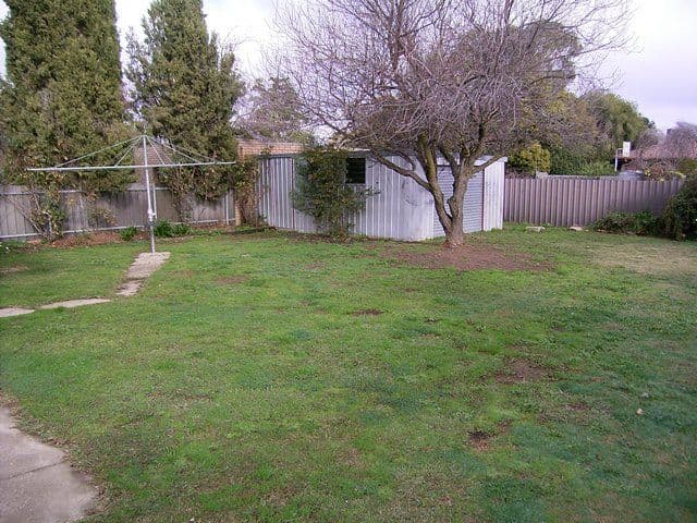 383 Dale Crescent, LAVINGTON NSW 2641, Lavington - Thumbnail 6