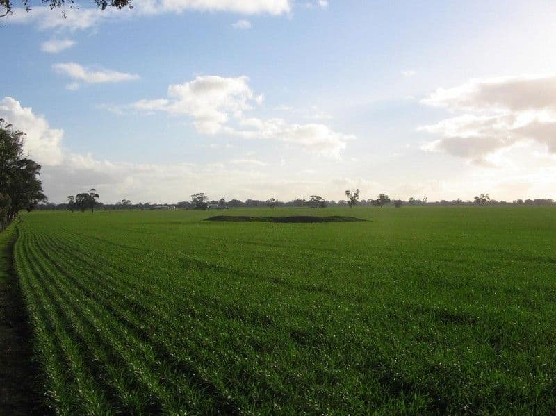 Lot 93 Rowney Road, BORDERTOWN SA 5268, Bordertown - Thumbnail 2