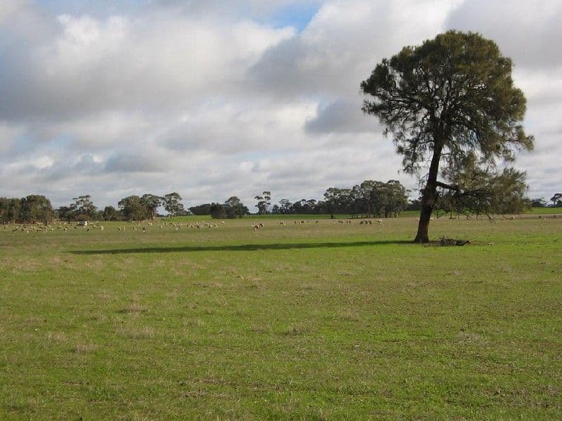 Section 9 Custon/Frances Road, BANGHAM SA 5268, Bangham - Thumbnail 2