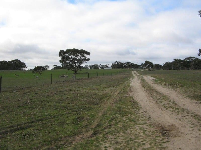 Section 9 Custon/Frances Road, BANGHAM SA 5268, Bangham - Thumbnail 4