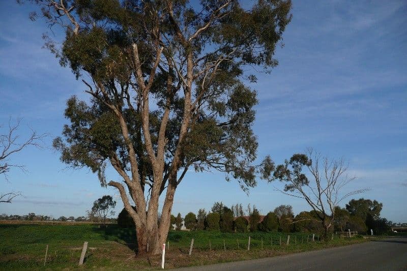 880 Union Road, INVERGORDON VIC 3636, Invergordon - Thumbnail 4