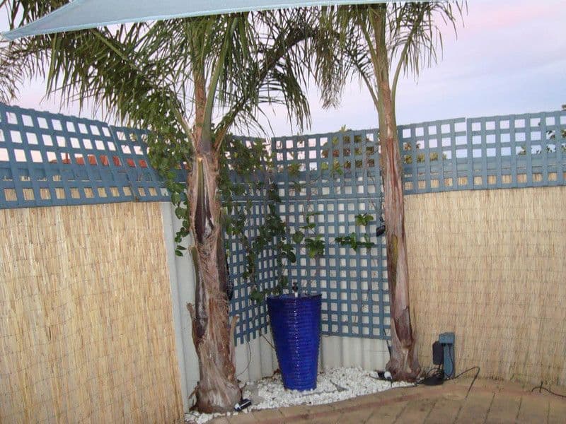 181 Cape Street, TUART HILL WA 6060, Tuart Hill - Thumbnail 5