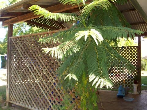 4A HUME, PITTSWORTH QLD 4356, Pittsworth - Thumbnail 2